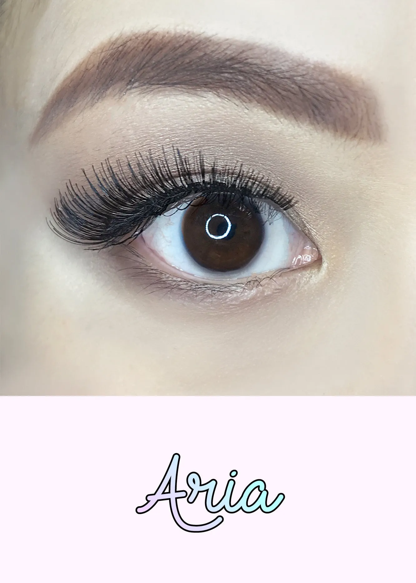 AOA Studio Eyelashes - Aria