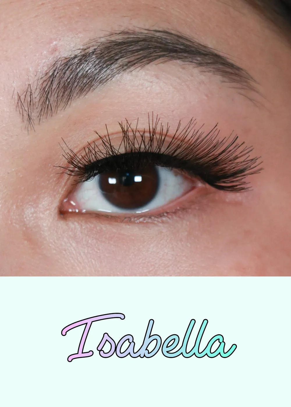 AOA Studio Eyelashes - Isabella