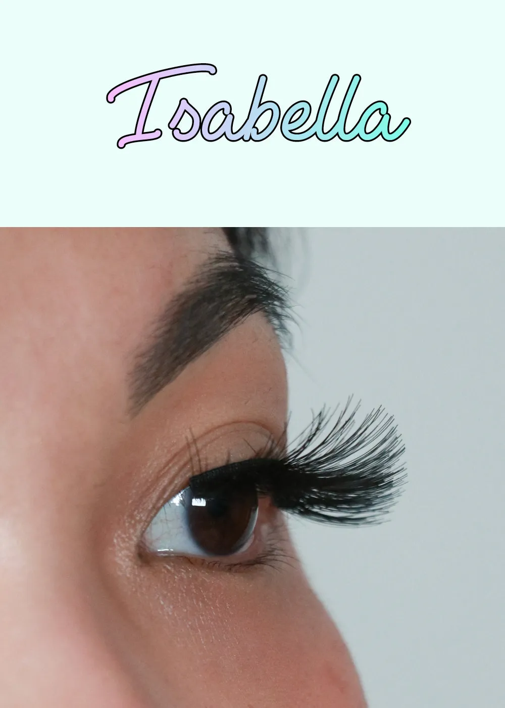 AOA Studio Eyelashes - Isabella