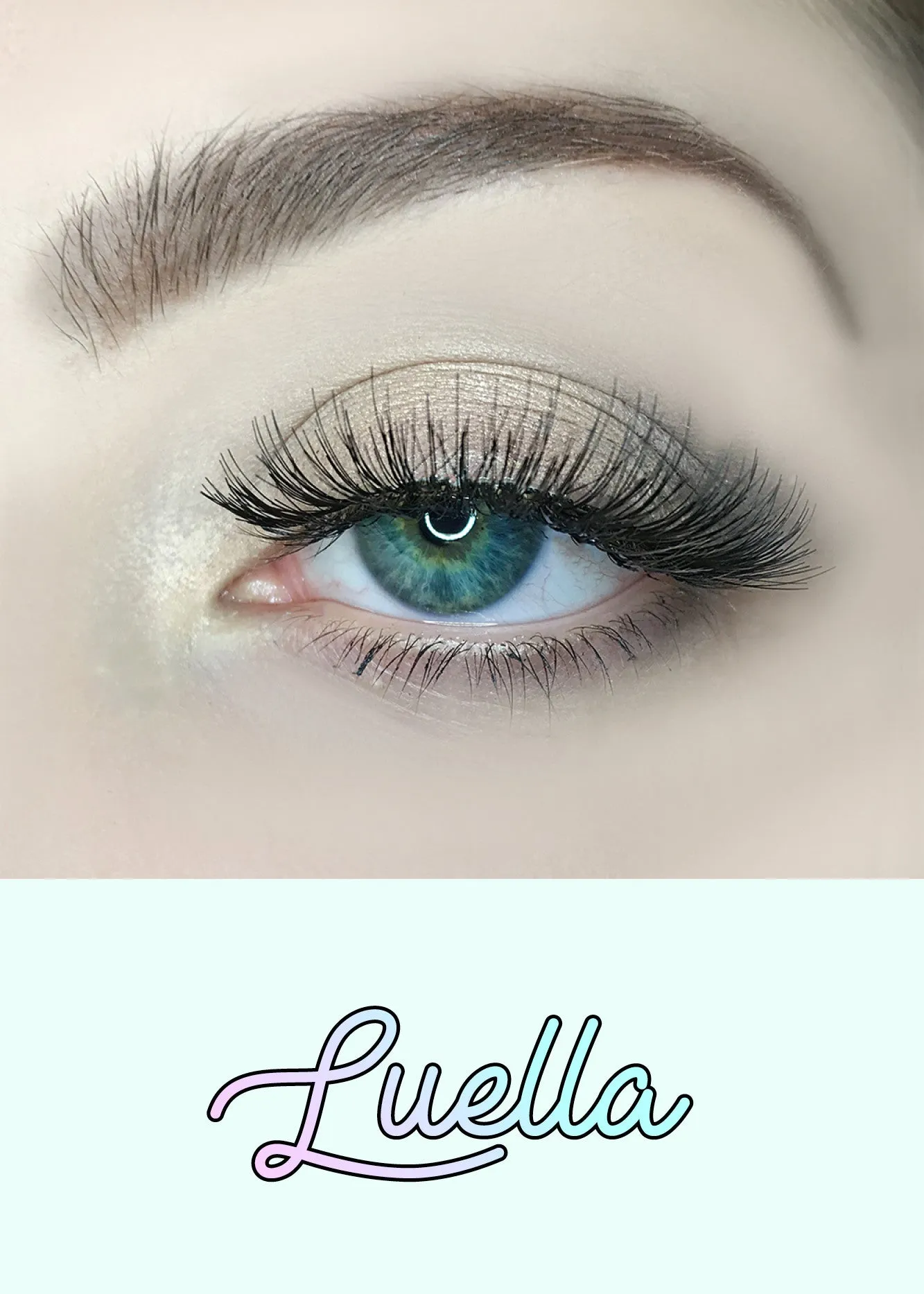 AOA Studio Eyelashes - Luella 6-Pack