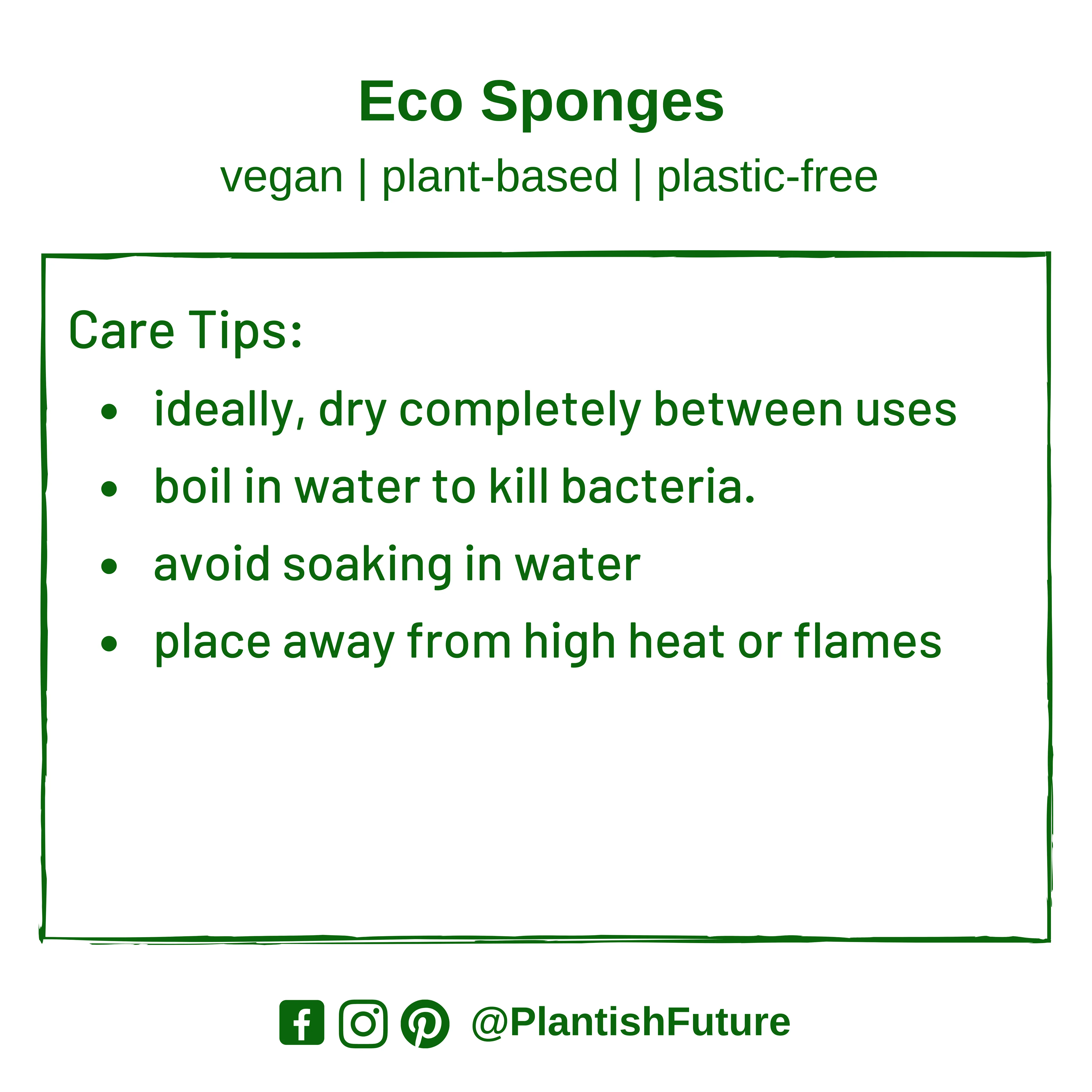 Eco Sponge