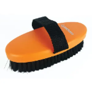 Gymkhana Small Body Brush