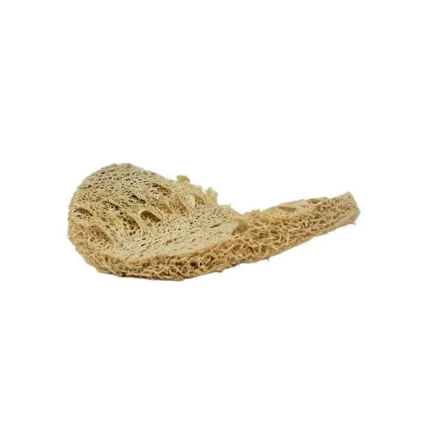 Loofah Dishwashing Sponge (Set of Two)