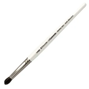 Pro Arte - Terry Harrison Masterstroke Soft Blender Brush Series 65J