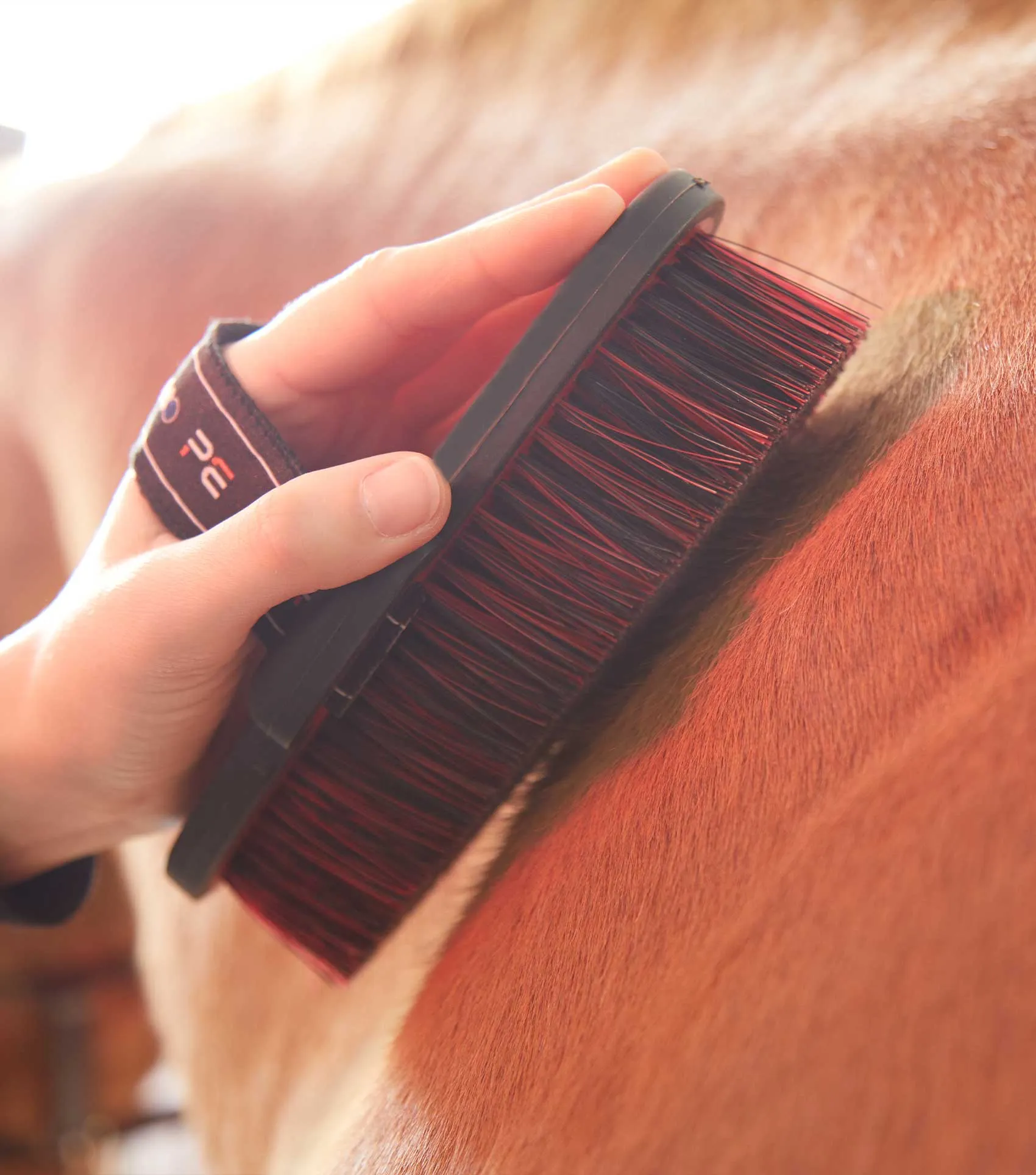 Soft-Touch Body Brush Black & Red