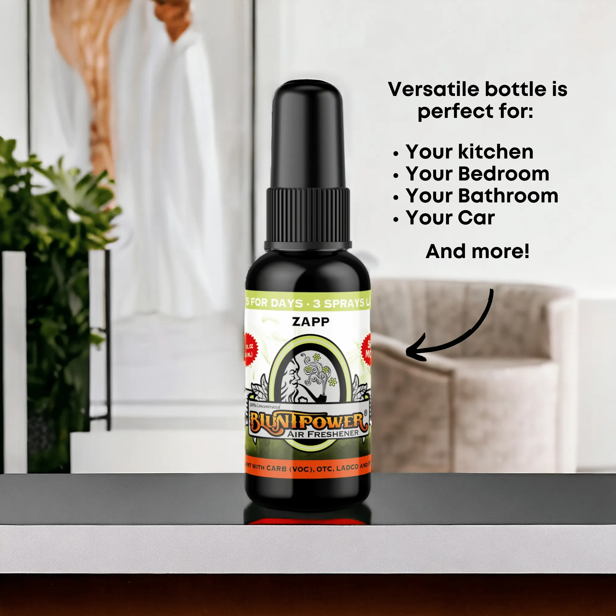 Zapp Air Freshener Spray